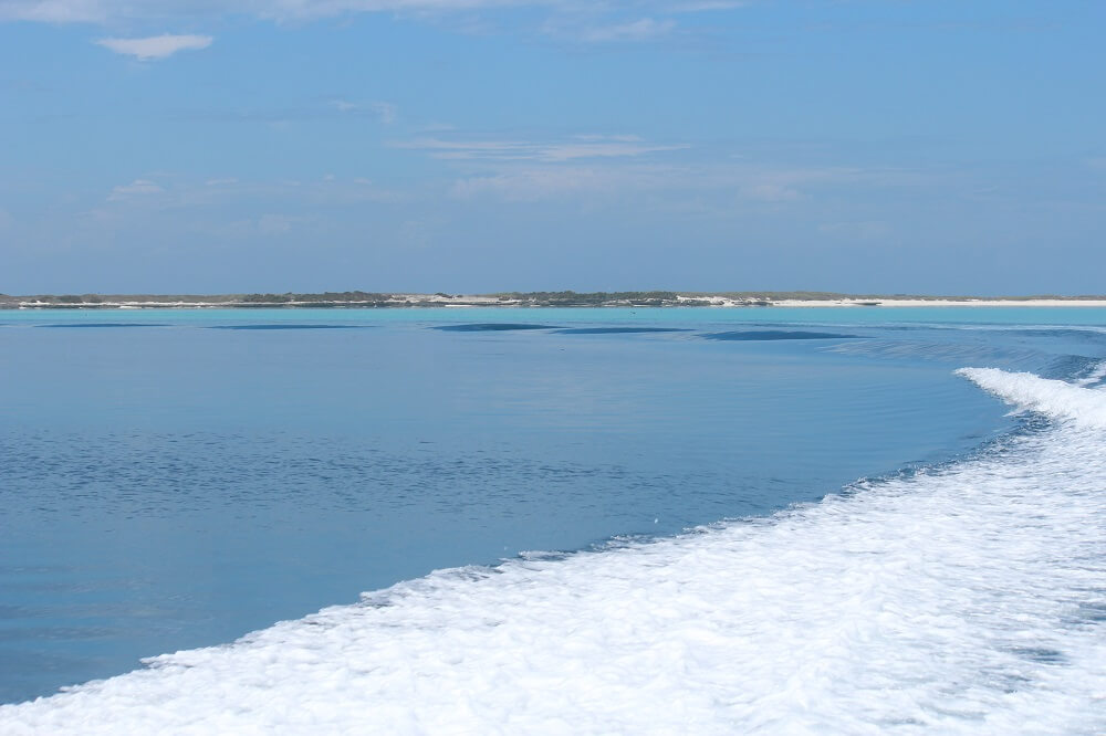 Abrolhos - boat foam